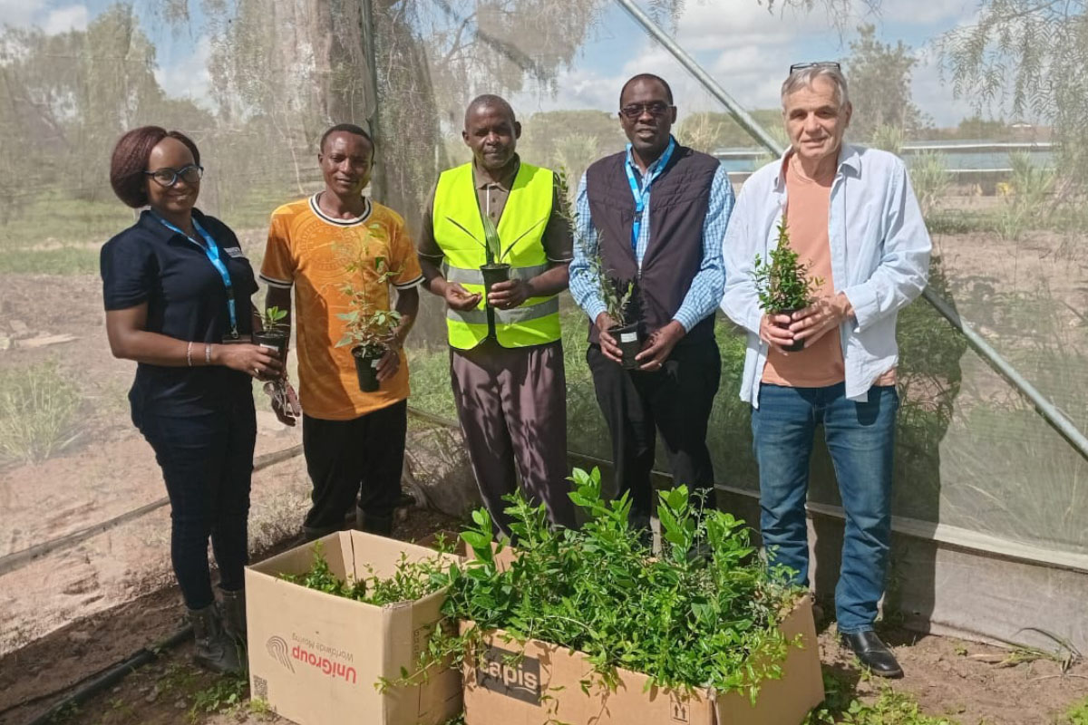 Israeli Embassy Donates Assorted Tree Seedlings to Daystar University